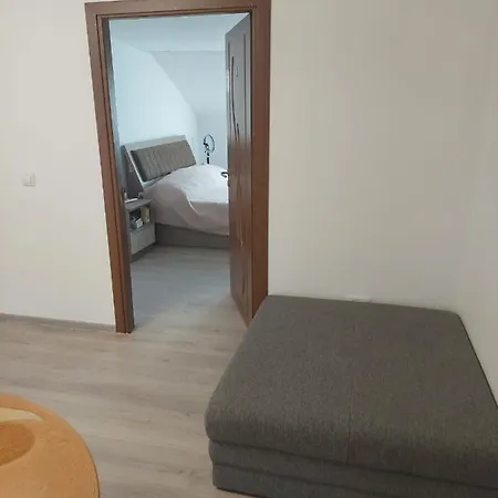 Cozy And Modern House