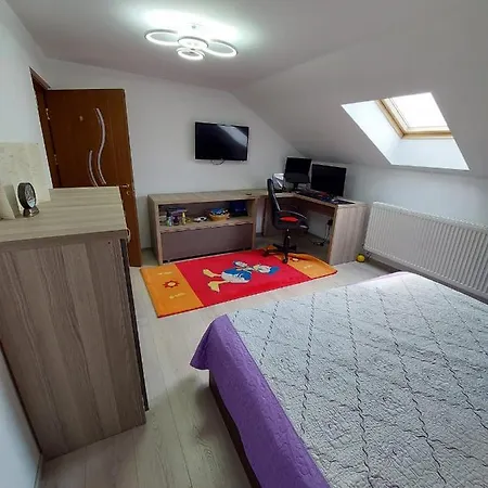 Cozy And Modern House